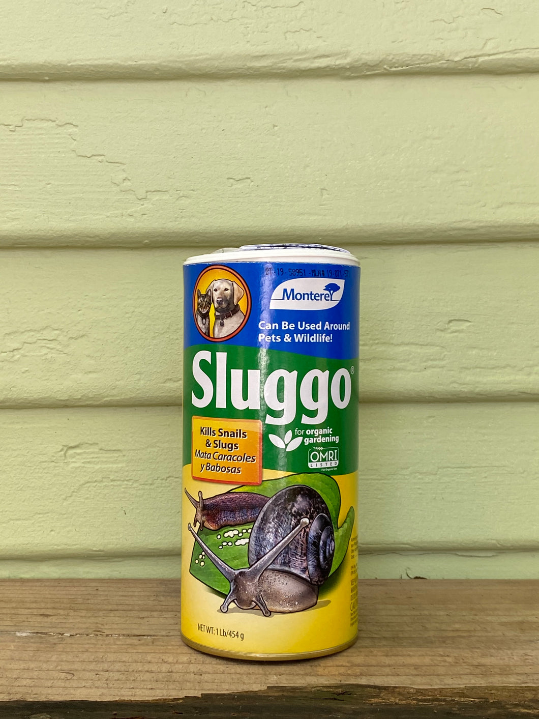 Sluggo - Monterey - Mickey Hargitay Plants
