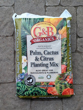 Load image into Gallery viewer, Organic Palm, Cactus &amp; Citrus Soil