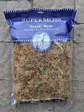 Load image into Gallery viewer, Forest Moss
