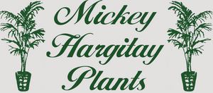 Mickey Hargitay Plants