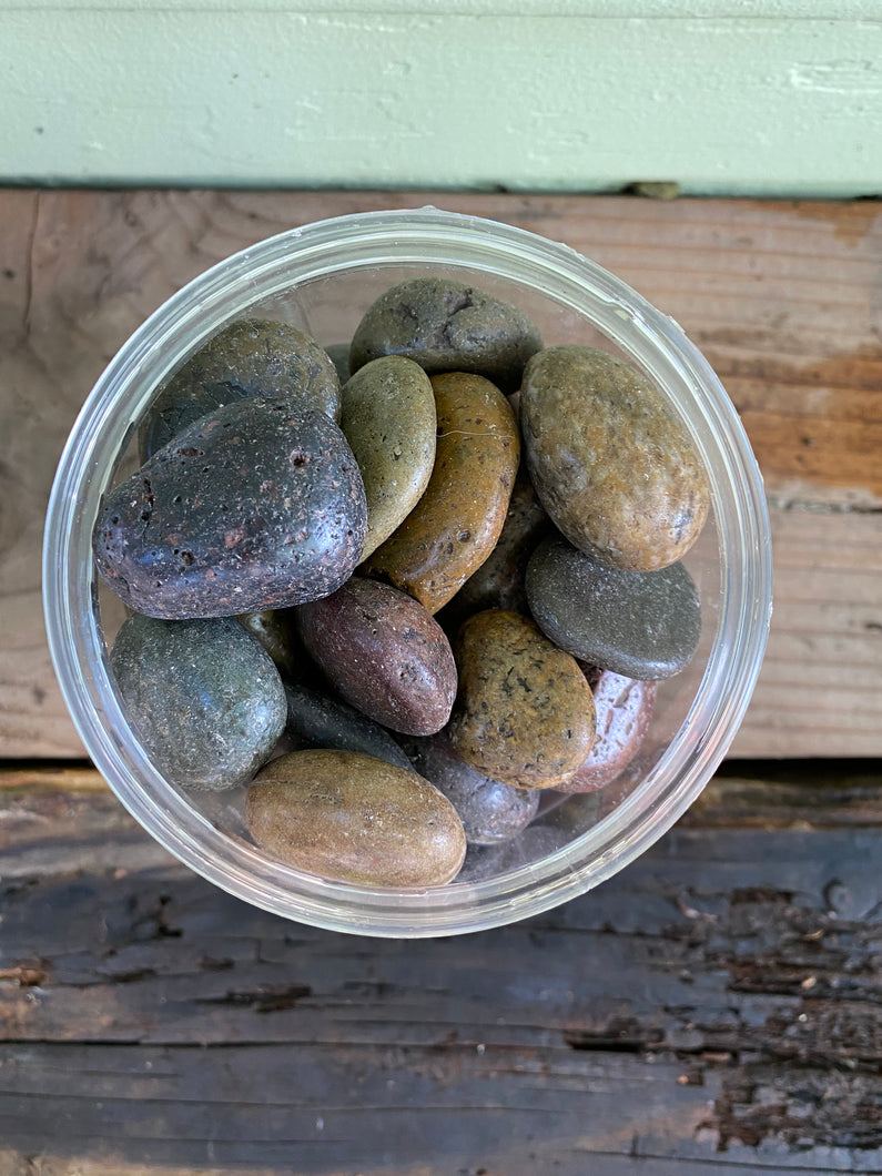 Mixed Polished Pebbles - Mickey Hargitay Plants