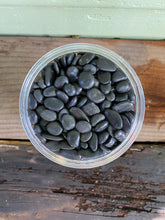 Load image into Gallery viewer, Black Gravel Polished - Mickey Hargitay Plants