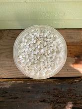Load image into Gallery viewer, White Bean Pebbles - Mickey Hargitay Plants