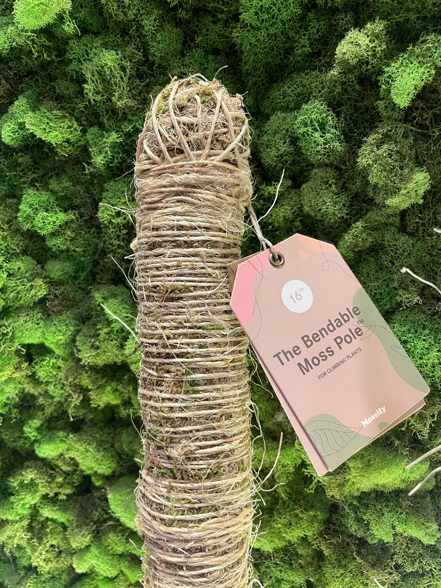 diy bendable moss pole Bendable Moss Pole