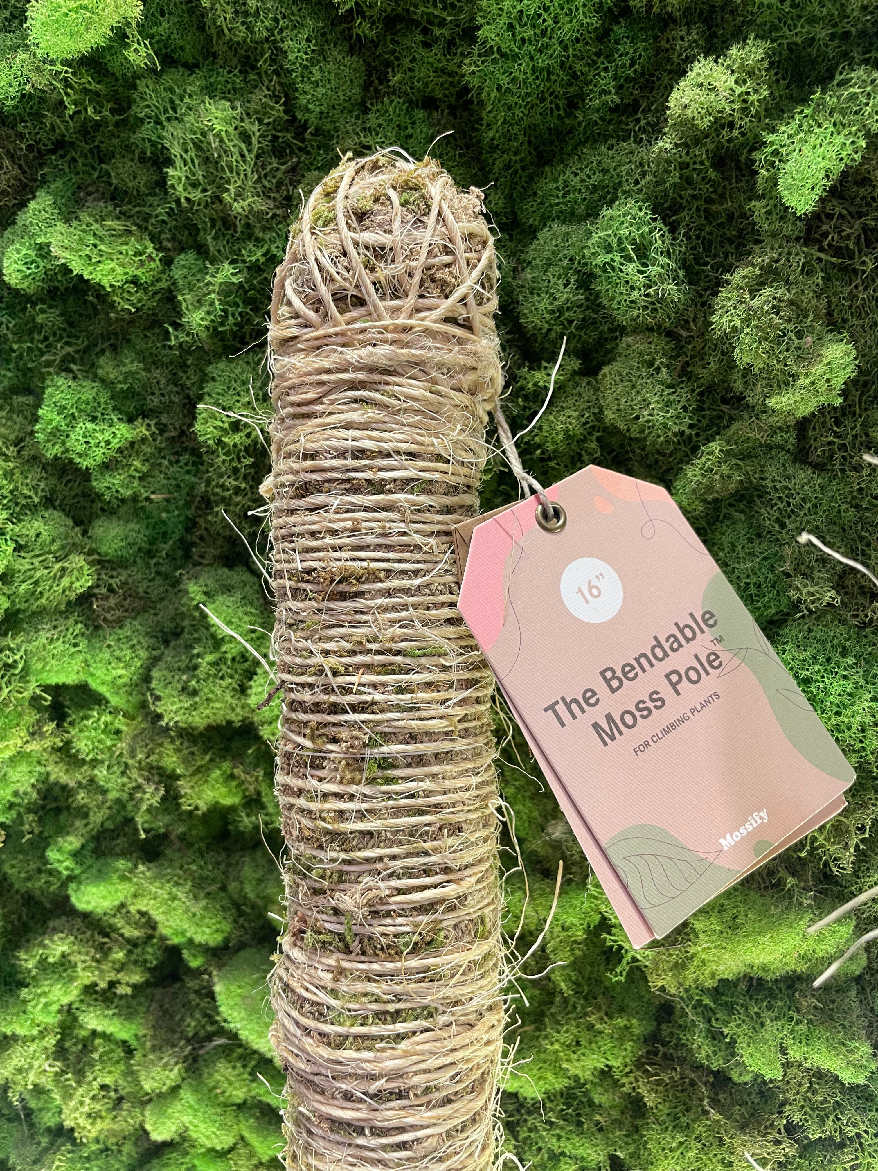 bendable moss pole Bendable Moss Pole